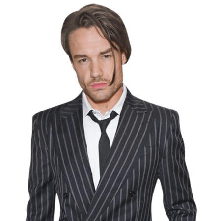 Featured image for “Liam Payne (Striped Suit) Half Body Buddy”