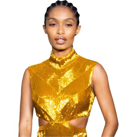 Featured image for “Yara Shahidi (Gold Dress) Half Body Buddy”