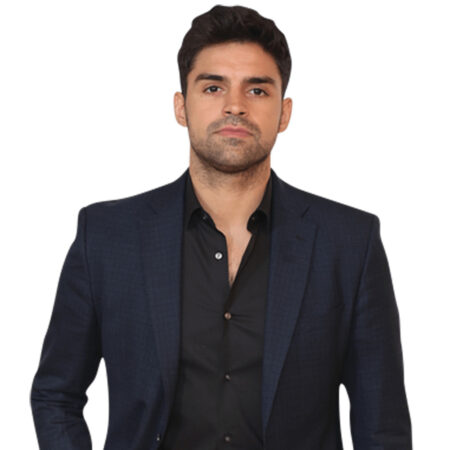 Featured image for “Sean Teale (Smart) Half Body Buddy”