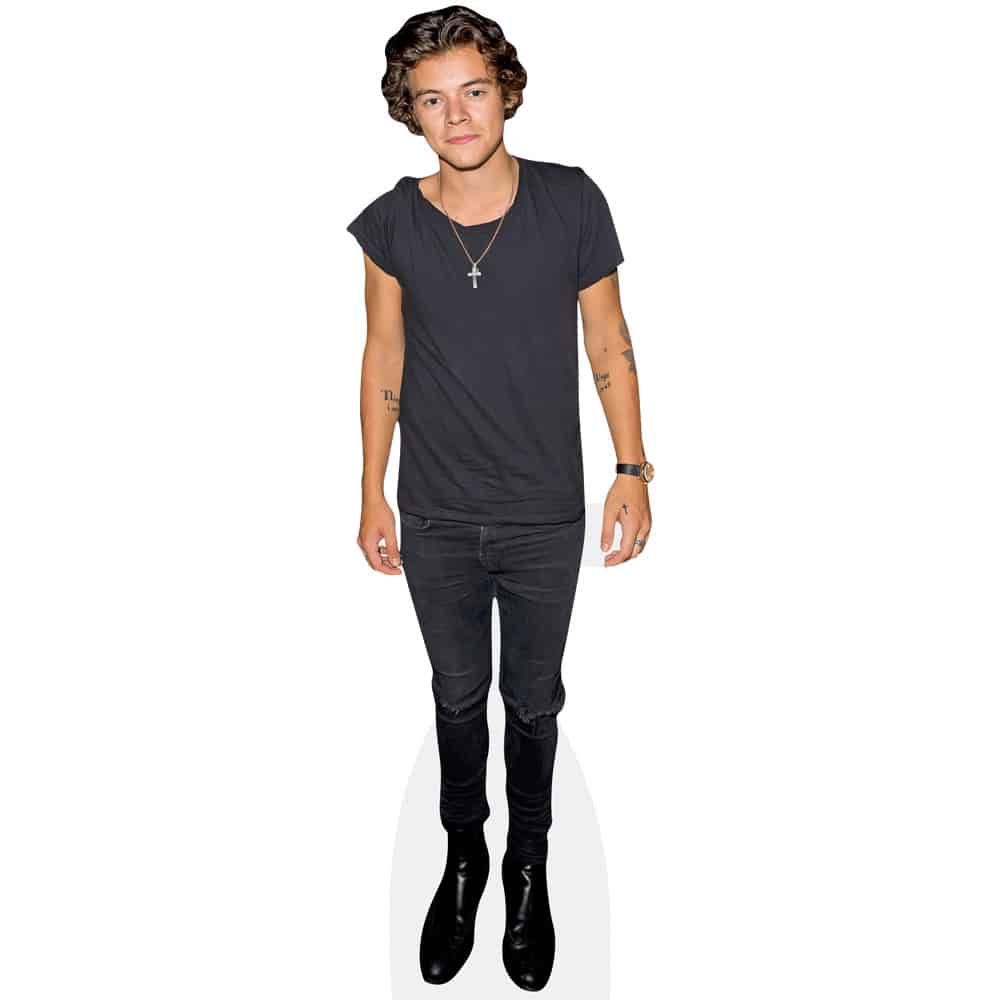 Harry Styles (Casual) Cardboard Cutout Celebrity Cutouts Harry Styles (Casual) Cardboard Cutout Celebrity Cutouts