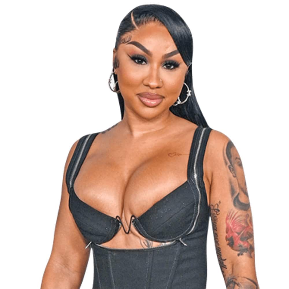 Ari Fletcher (Black Dress) Half Body Buddy