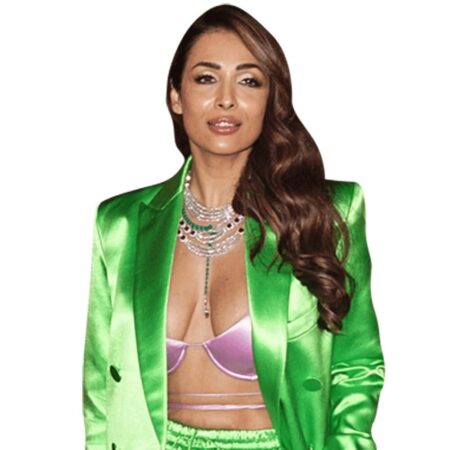 Featured image for “Malaika Arora (Green Outfit) Half Body Buddy”